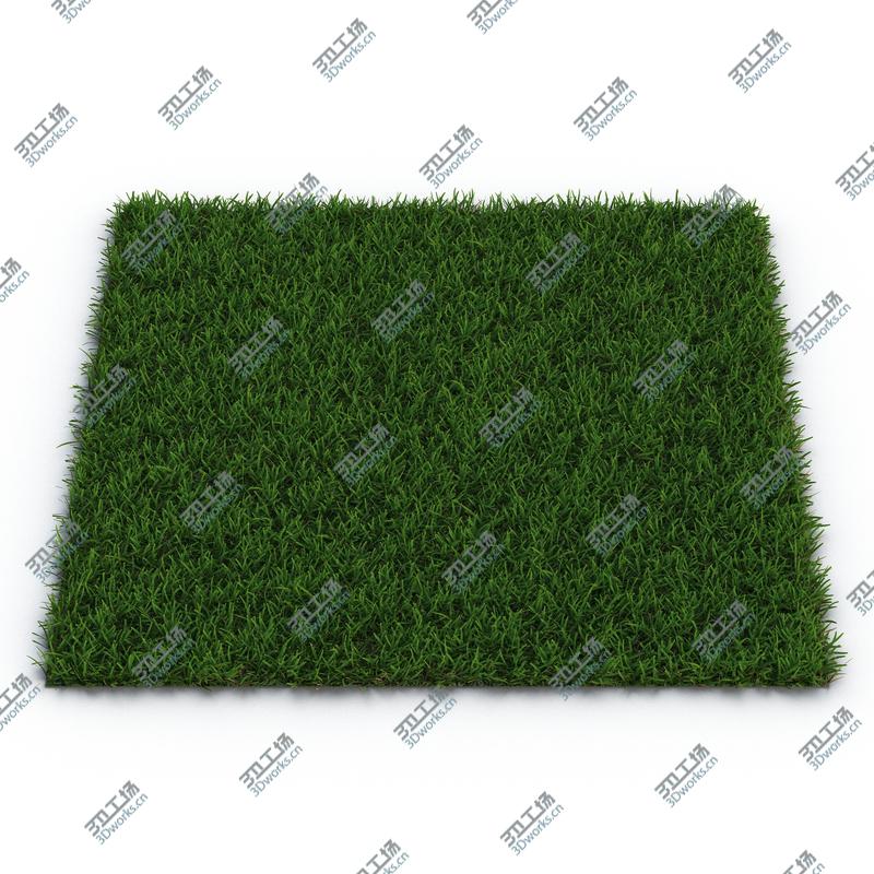 images/goods_img/202104091/Centipede Warm Season Grass/2.jpg